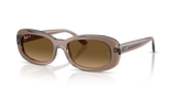 Transparent Beige / Gradient Brown Polarized (6827M2)