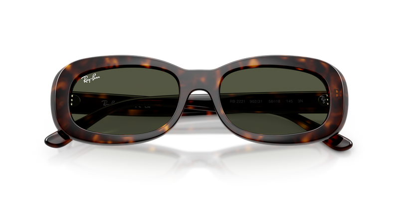 Ray-Ban RB2221 in Havana / Green (902/31) - Alternate View