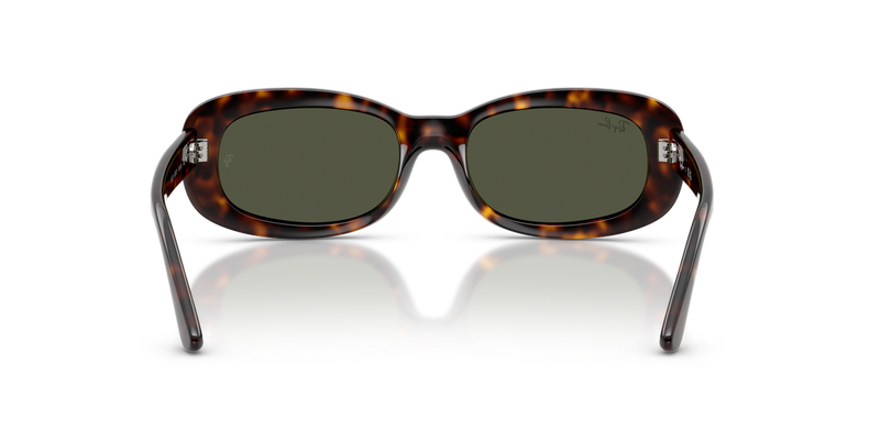 Ray-Ban RB2221 in Havana / Green (902/31) - Alternate View
