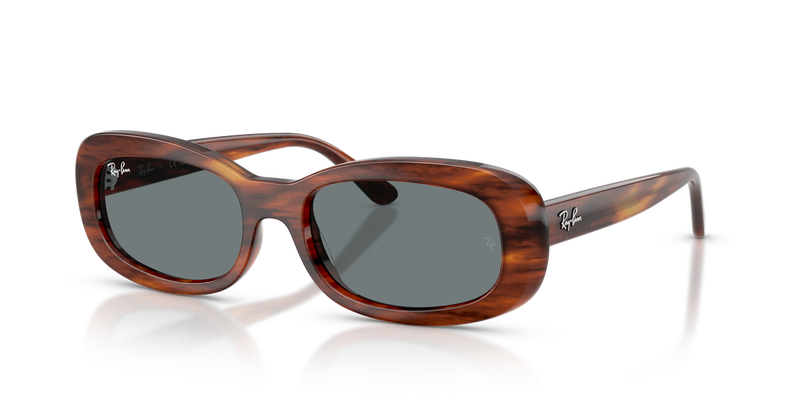 Ray-Ban RB2221 in Striped Havana / Blue (954/62) - Alternate View