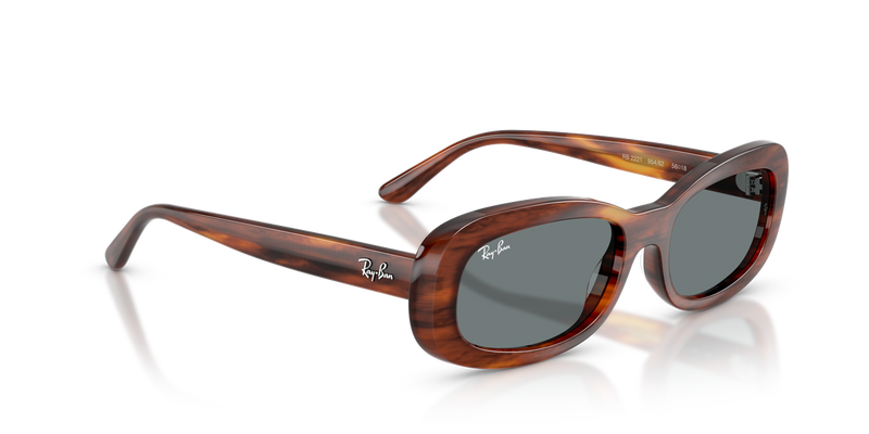 Ray-Ban RB2221 in Striped Havana / Blue (954/62) - Alternate View
