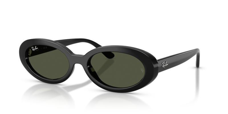 Ray-Ban RB2223F in Black - Alternate View