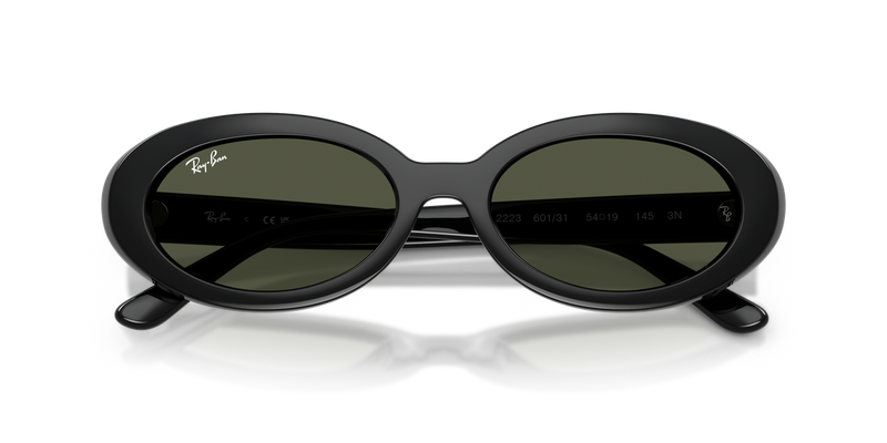 Ray-Ban RB2223F in Black - Alternate View
