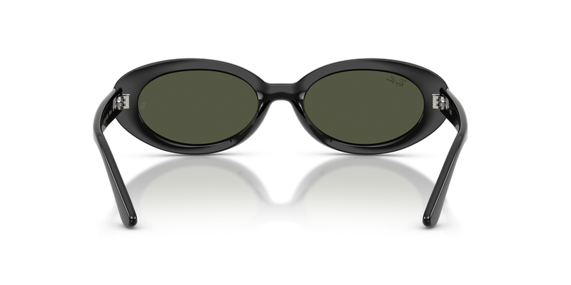 Ray-Ban RB2223F in Black - Alternate View