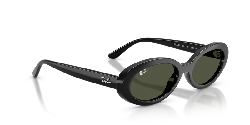Ray-Ban RB2223F in Black - Alternate View