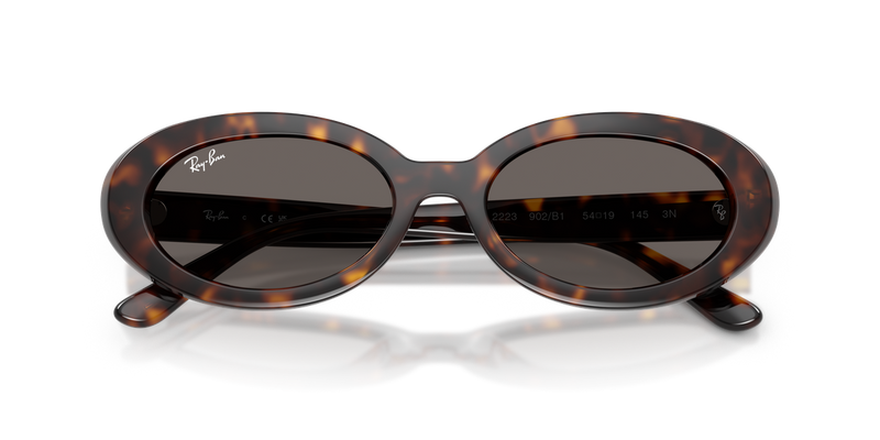 Ray-Ban RB2223F in Havana - Alternate View