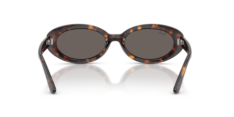 Ray-Ban RB2223F in Havana - Alternate View