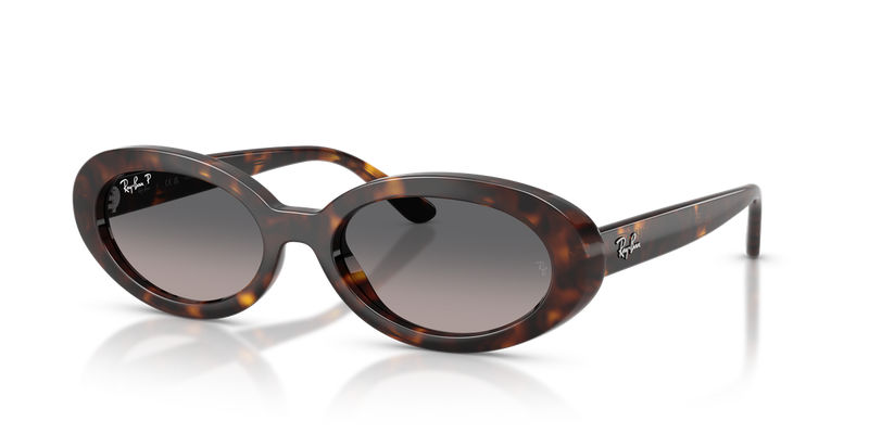 Ray-Ban RB2223F in Havana - Alternate View
