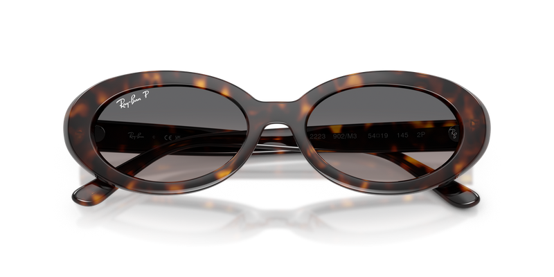 Ray-Ban RB2223F in Havana - Alternate View