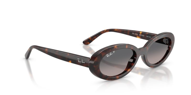 Ray-Ban RB2223F in Havana - Alternate View