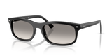 Black / Clear Gradient Grey (601/32)