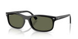 Black / Green Polarized (601/58)