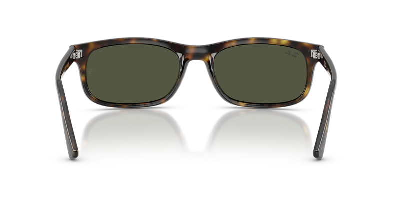 Ray-Ban RB2224F in Havana / Green (710/31) - Alternate View