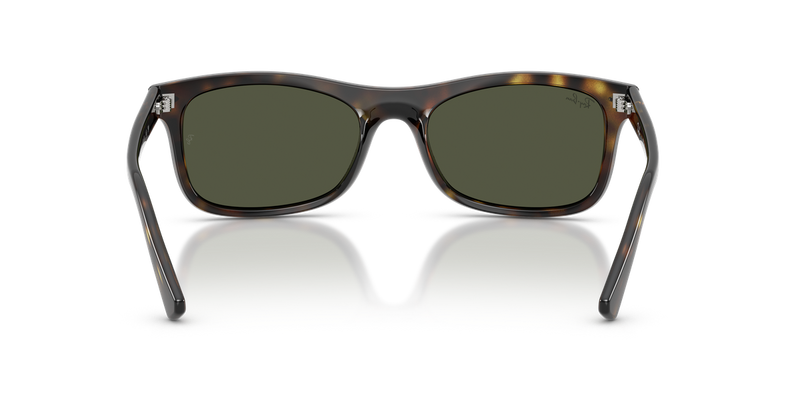 Ray-Ban RB2226 in Havana / Green (710/31) - Alternate View