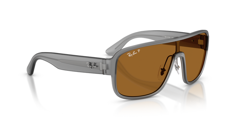 Ray-Ban RB2229 in Grey - Alternate View