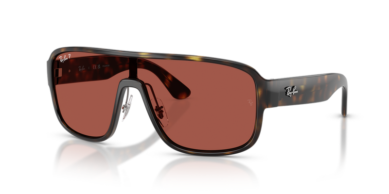 Ray-Ban RB2229 in Havana - Alternate View
