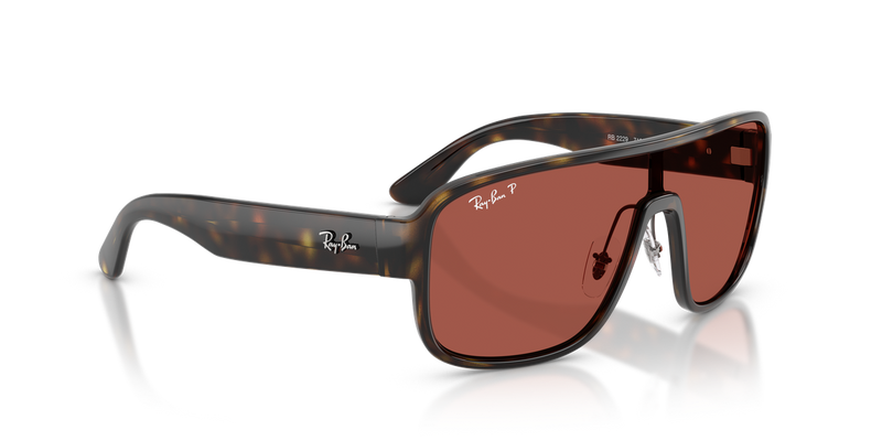 Ray-Ban RB2229 in Havana - Alternate View