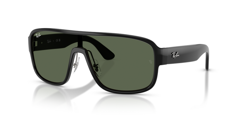 Ray-Ban RB2229 in Black - Alternate View