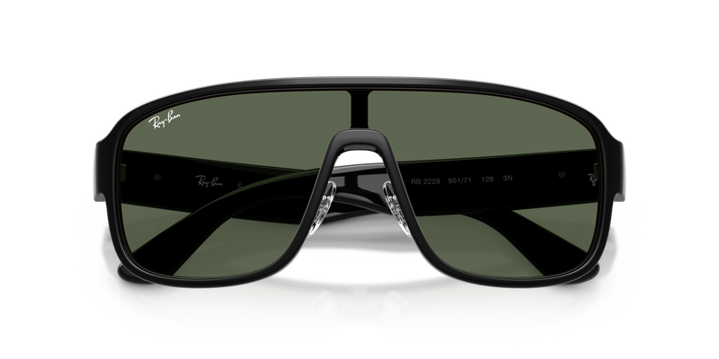Ray-Ban RB2229 in Black - Alternate View
