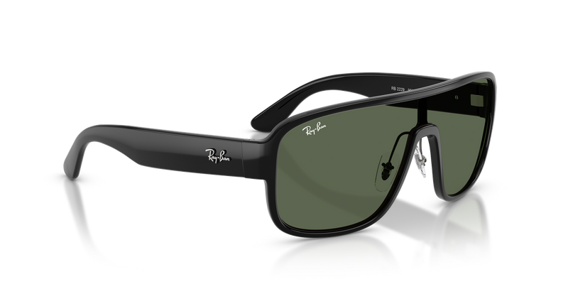Ray-Ban RB2229 in Black - Alternate View