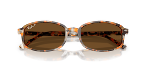 Havana Brown Grey / Brown Polarized (135757)