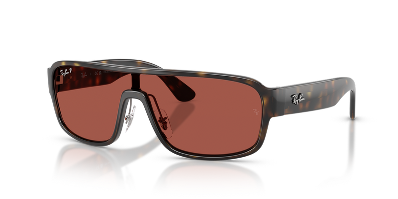 Ray-Ban RB2233 in Havana - Alternate View