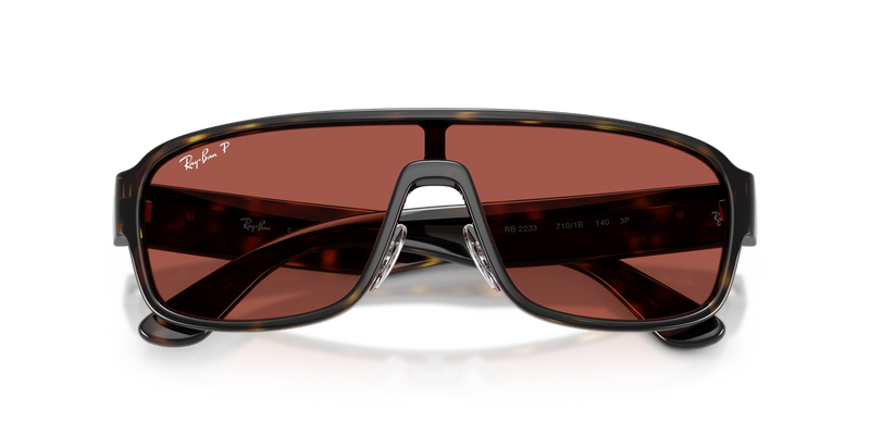 Ray-Ban RB2233 in Havana - Alternate View