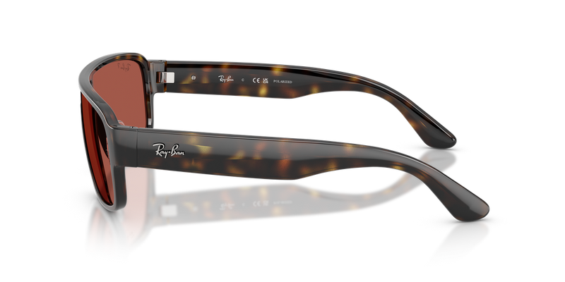 Ray-Ban RB2233 in Havana - Alternate View