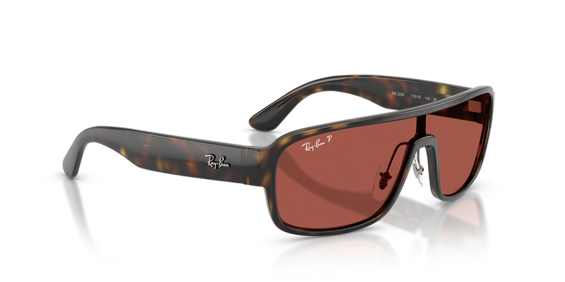 Ray-Ban RB2233 in Havana - Alternate View