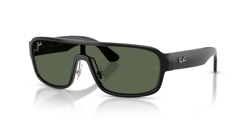 Ray-Ban RB2233 in Black - Alternate View