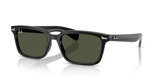 Ray-Ban BRUNEL - Black / Green (901/31)