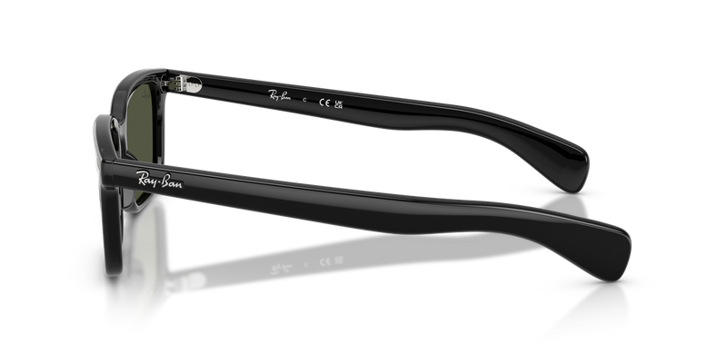 Ray-Ban BRUNEL in Black - Back View