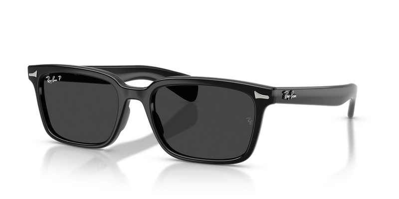 Ray-Ban BRUNEL in Black - Alternate View