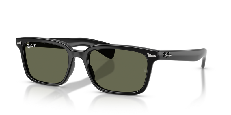 Ray-Ban BRUNEL in Black - Alternate View