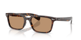 Havana / Brown (902/53)