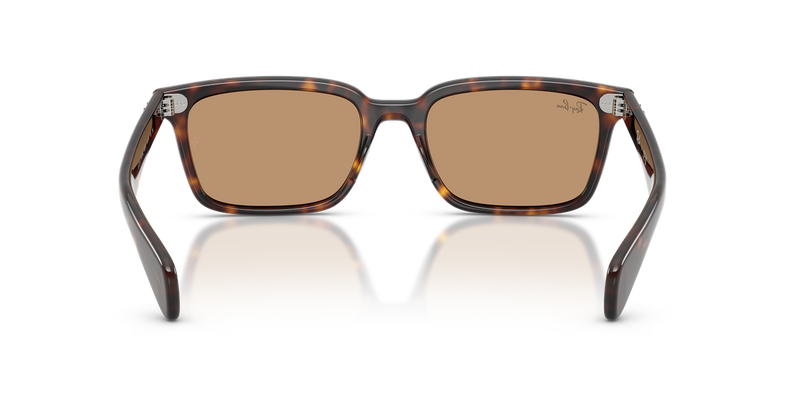 Ray-Ban BRUNEL in Havana - Alternate View