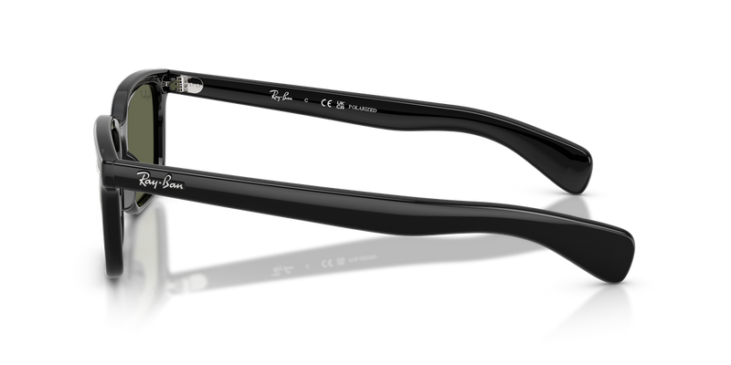 Ray-Ban BRUNEL in Black - Alternate View