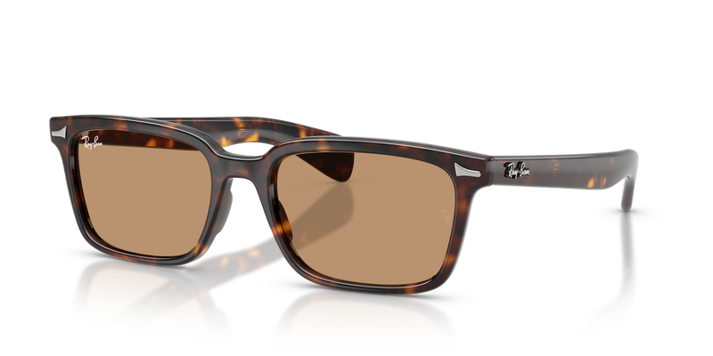 Ray-Ban BRUNEL in Havana - Alternate View