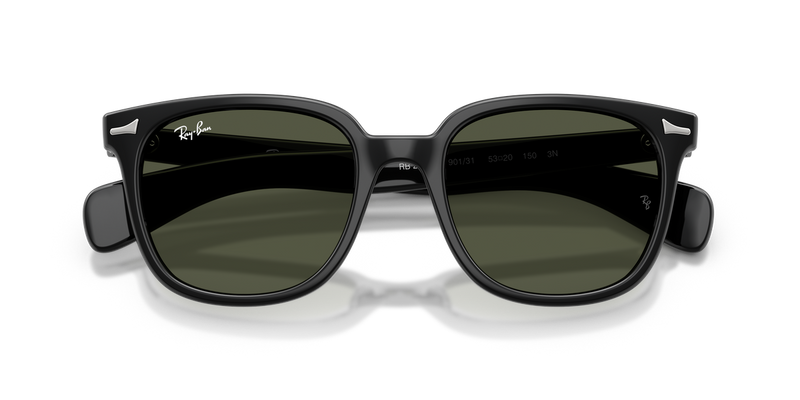 Ray-Ban BRUNEL II in Black - Side View