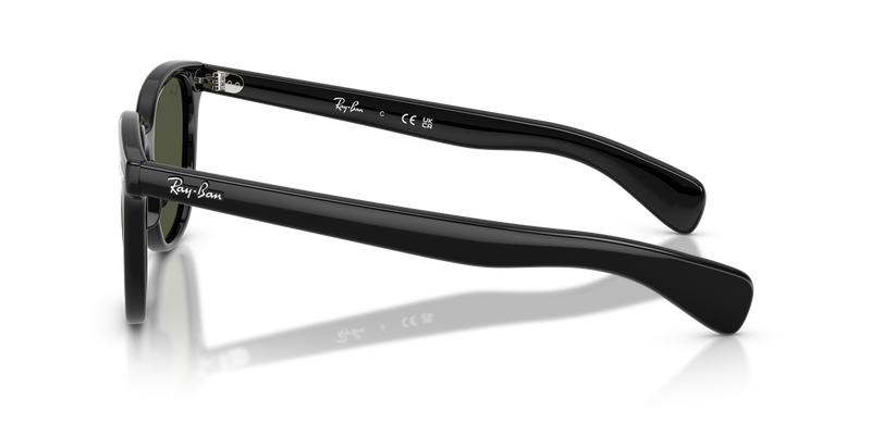 Ray-Ban BRUNEL II in Black - Back View