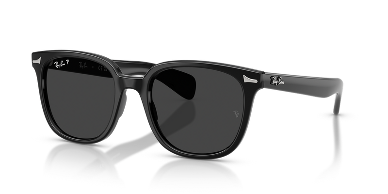 Ray-Ban BRUNEL II in Black - Alternate View