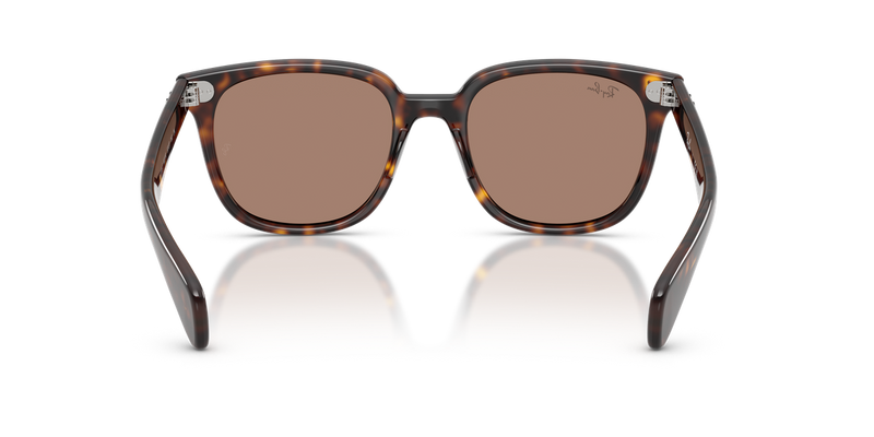 Ray-Ban BRUNEL II in Havana - Alternate View