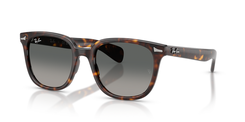 Ray-Ban BRUNEL II in Havana - Alternate View