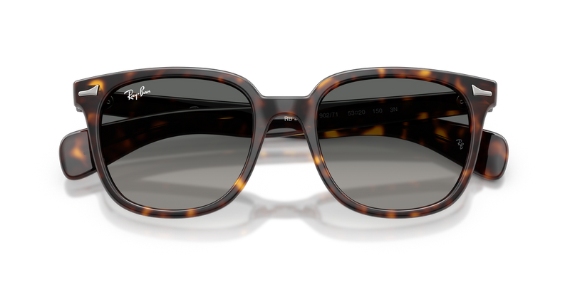 Ray-Ban BRUNEL II in Havana - Alternate View