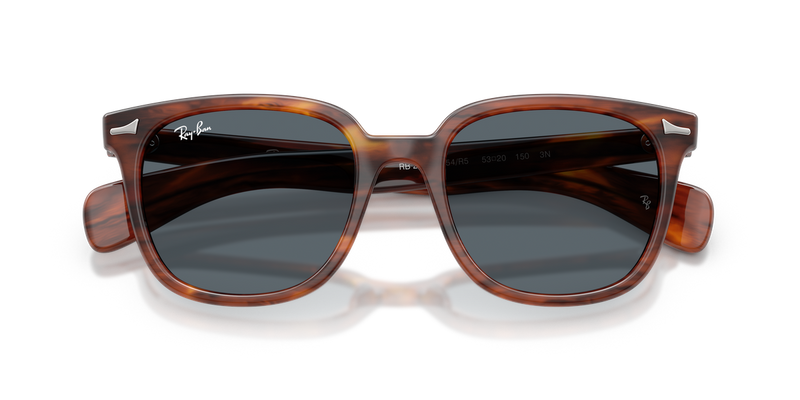 Ray-Ban BRUNEL II in Striped Havana - Alternate View