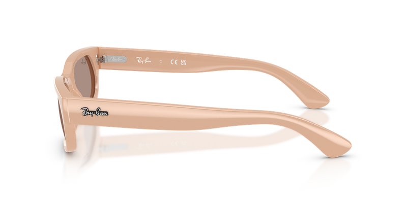 Ray-Ban RB2236F in Nude - Back View