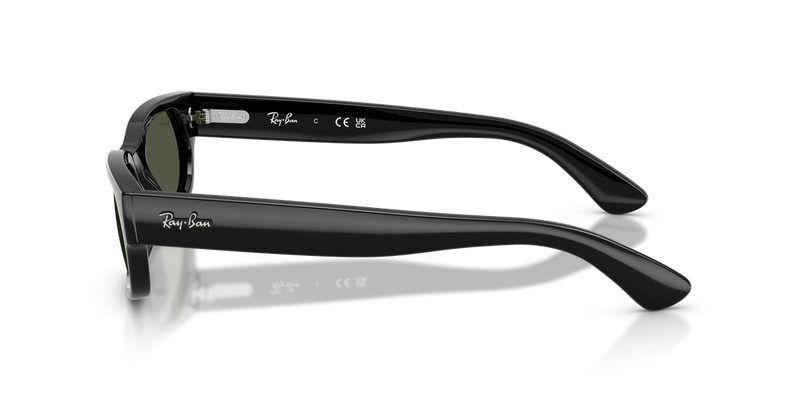Ray-Ban RB2236F in Black - Alternate View