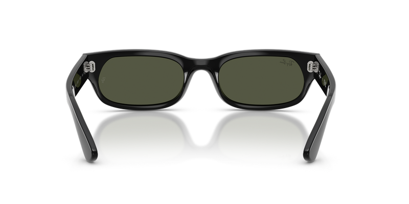 Ray-Ban RB2236F in Black - Alternate View