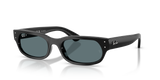 Black / Polarized Black (901/48)