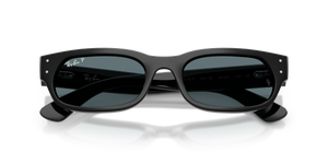 Black / Polarized Black (901/48)